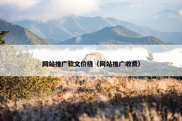 网站推广软文价格（网站推广收费）
