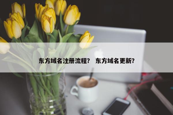 东方域名注册流程？ 东方域名更新？