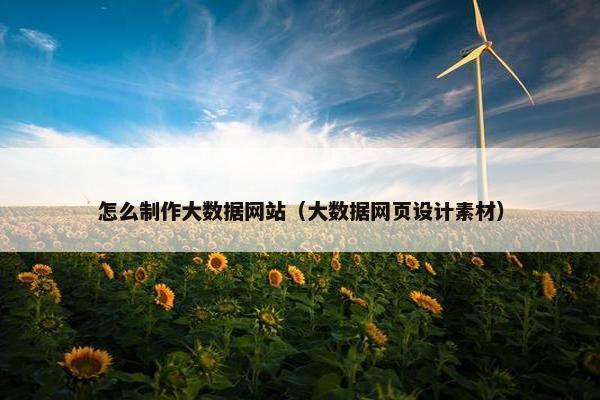 怎么制作大数据网站（大数据网页设计素材）