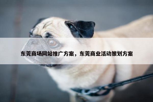 东莞商场网站推广方案，东莞商业活动策划方案