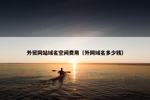 外贸网站域名空间费用（外网域名多少钱）