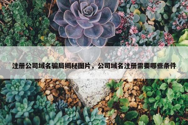 注册公司域名骗局揭秘图片，公司域名注册需要哪些条件