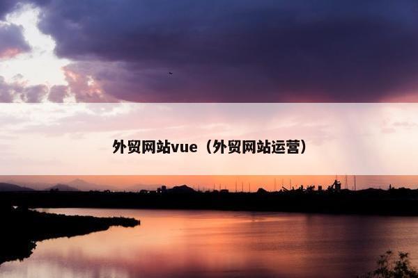 外贸网站vue（外贸网站运营）