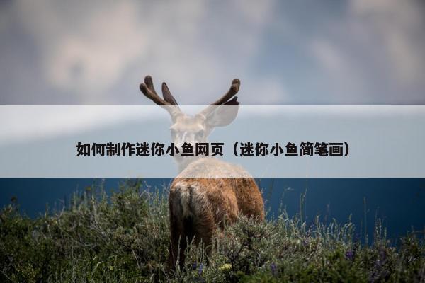 如何制作迷你小鱼网页（迷你小鱼简笔画）