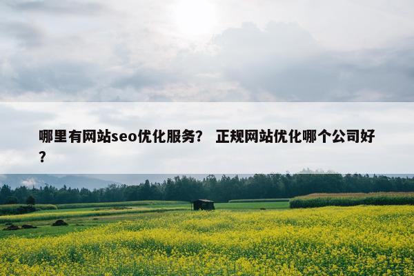 哪里有网站seo优化服务？ 正规网站优化哪个公司好？