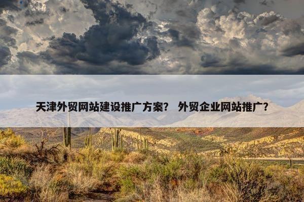 天津外贸网站建设推广方案？ 外贸企业网站推广？