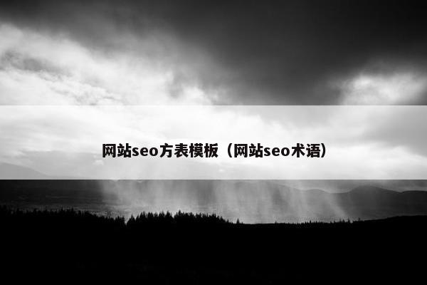 网站seo方表模板（网站seo术语）