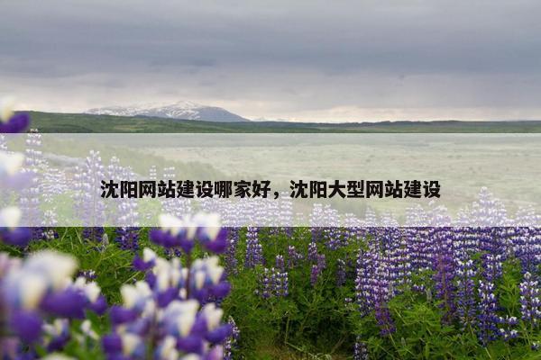 沈阳网站建设哪家好，沈阳大型网站建设