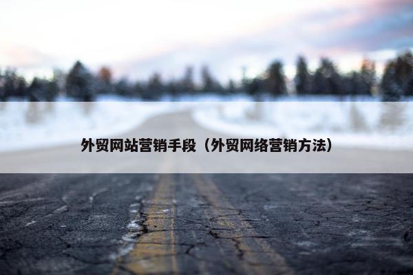 外贸网站营销手段（外贸网络营销方法）