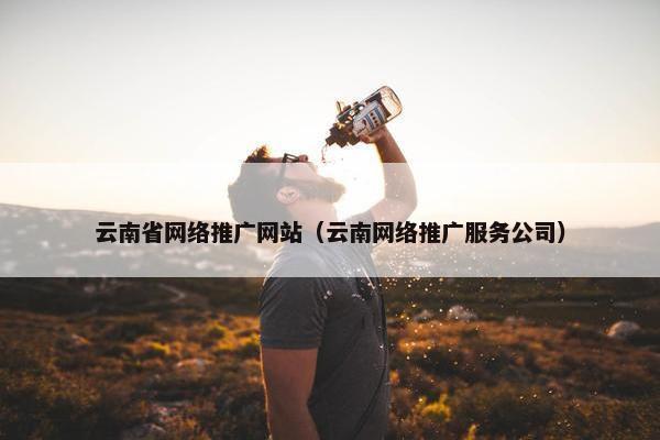 云南省网络推广网站（云南网络推广服务公司）