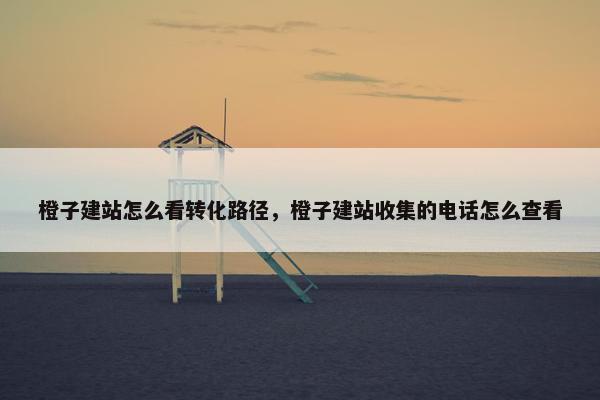 橙子建站怎么看转化路径，橙子建站收集的电话怎么查看