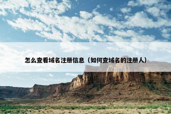 怎么查看域名注册信息（如何查域名的注册人）