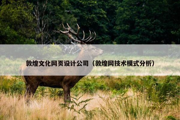 敦煌文化网页设计公司（敦煌网技术模式分析）