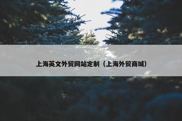 上海英文外贸网站定制（上海外贸商城）