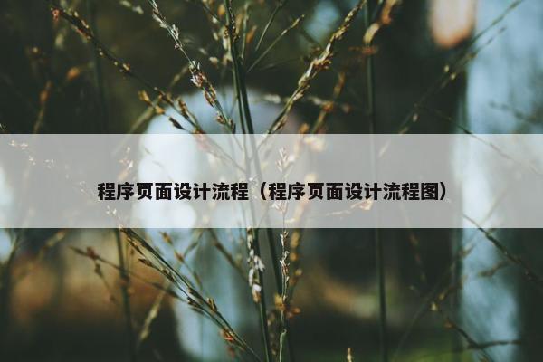 程序页面设计流程（程序页面设计流程图）