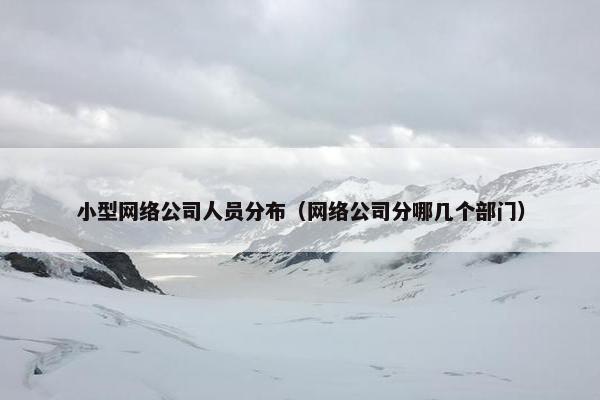 小型网络公司人员分布（网络公司分哪几个部门）