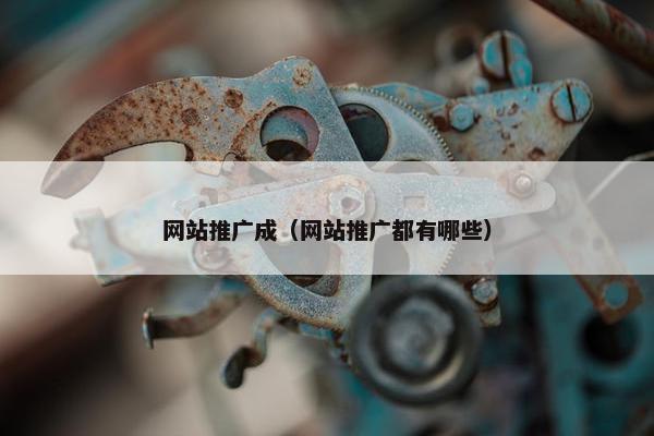 网站推广成（网站推广都有哪些）