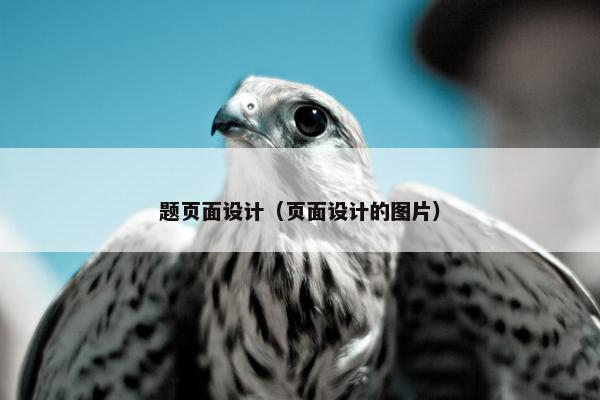 题页面设计（页面设计的图片）