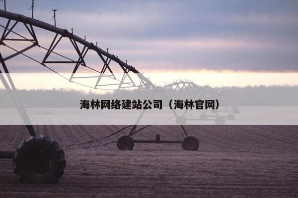 海林网络建站公司（海林官网）
