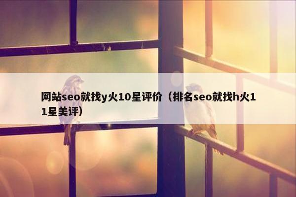 网站seo就找y火10星评价（排名seo就找h火11星美评）
