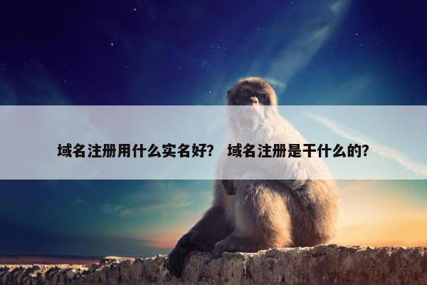 域名注册用什么实名好？ 域名注册是干什么的？