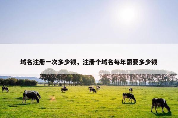 域名注册一次多少钱，注册个域名每年需要多少钱