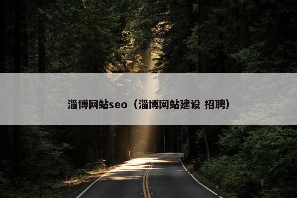 淄博网站seo（淄博网站建设 招聘）