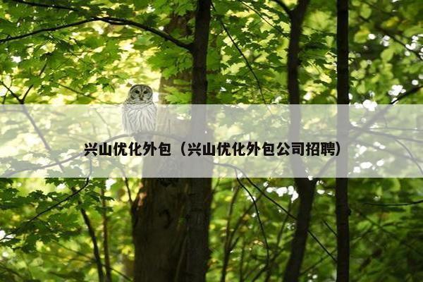 兴山优化外包（兴山优化外包公司招聘）