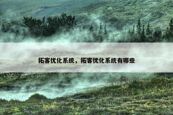 拓客优化系统，拓客优化系统有哪些