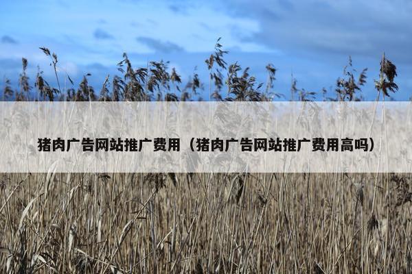 猪肉广告网站推广费用（猪肉广告网站推广费用高吗）