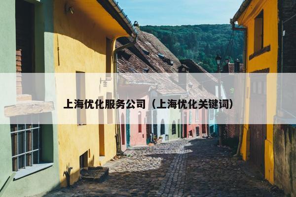 上海优化服务公司（上海优化关键词）