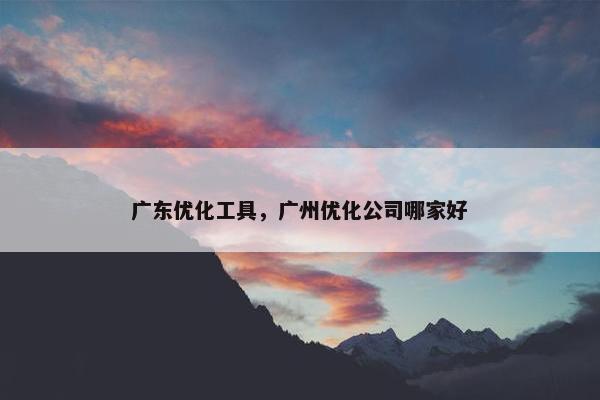 广东优化工具，广州优化公司哪家好