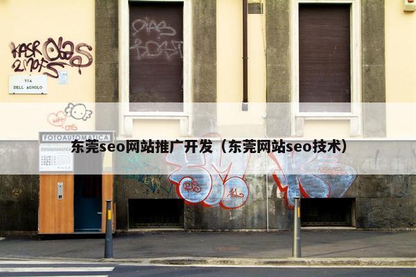 东莞seo网站推广开发（东莞网站seo技术）