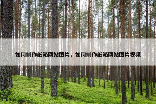 如何制作纸箱网站图片，如何制作纸箱网站图片视频