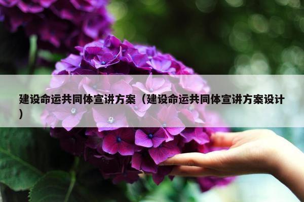 建设命运共同体宣讲方案（建设命运共同体宣讲方案设计）