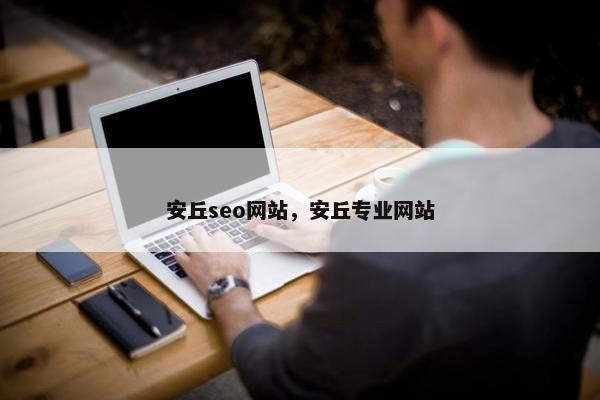 安丘seo网站，安丘专业网站