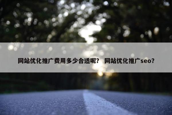 网站优化推广费用多少合适呢？ 网站优化推广seo？