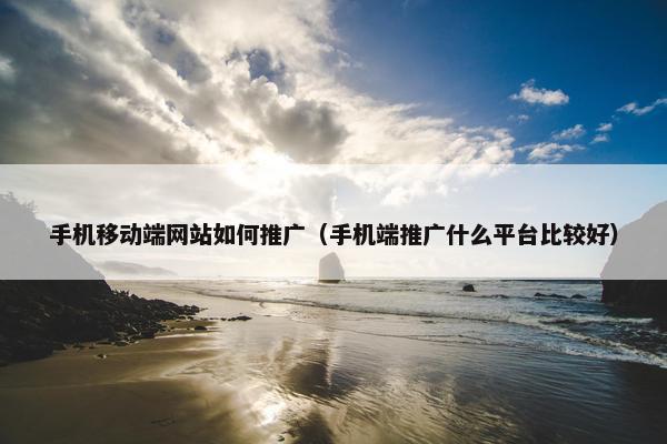 手机移动端网站如何推广（手机端推广什么平台比较好）