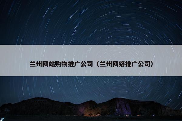 兰州网站购物推广公司（兰州网络推广公司）