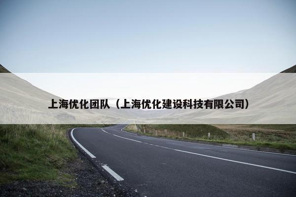 上海优化团队（上海优化建设科技有限公司）