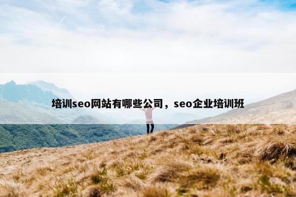 培训seo网站有哪些公司，seo企业培训班