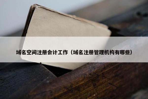 域名空间注册会计工作（域名注册管理机构有哪些）