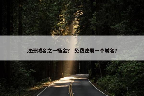 注册域名之一桶金？ 免费注册一个域名？