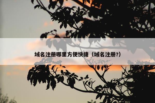 域名注册哪里方便快捷（域名注册?）