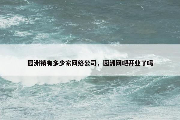 园洲镇有多少家网络公司，园洲网吧开业了吗