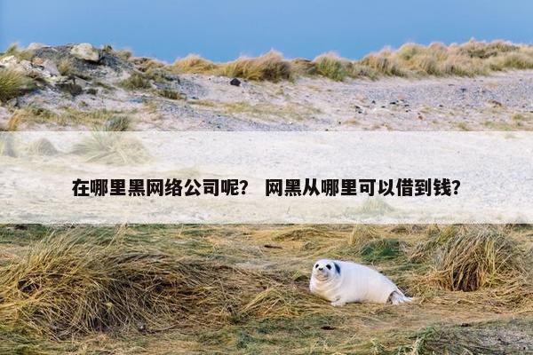 在哪里黑网络公司呢？ 网黑从哪里可以借到钱？