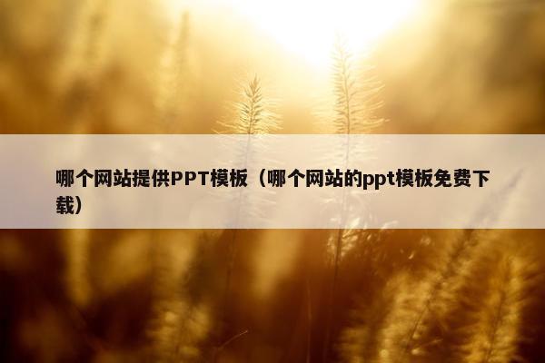 哪个网站提供PPT模板（哪个网站的ppt模板免费下载）