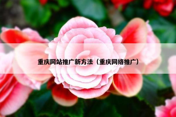 重庆网站推广新方法（重庆网络推广）