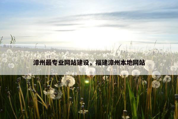 漳州最专业网站建设，福建漳州本地网站
