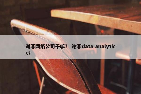 谢菲网络公司干嘛？ 谢菲data analytics？